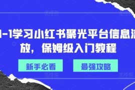 简单项目从0-1学习小红书聚光平台信息流投放，保姆级入门教程便宜08月06日冒泡网VIP项目