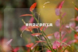 查网贷记录的工具
