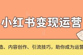 简单项目小红书变现运营，IP打造、内容创作、引流技巧，助你成为运营高手12-08福缘网