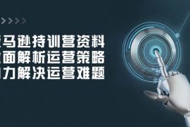 手机创业（14033期）亚马逊持训营资料，全面解析运营策略，助力解决运营难题01-23中创网