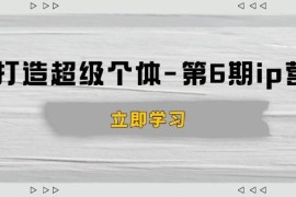 每天（14015期）打造超级个体-第6期ip营：商业认知,产品设计,成交演练,解决知识变现难题01-21中创网