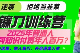 简单项目镰刀训练营超级IP合伙人，25年普通人如何通过“知识付费”实现逆袭03-23福缘网