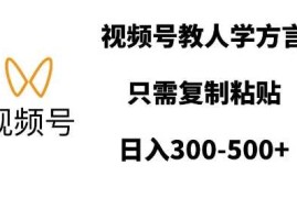 每日视频号教人学方言，只需复制粘贴，日入多张12-31冒泡网