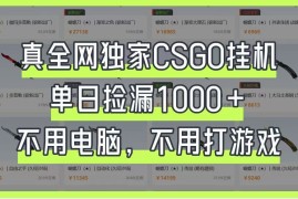 真全网独家CSGO挂机，单日捡漏1000+，不用电脑，不用养号