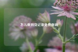 怎么查网贷记录免费查询