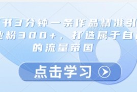 小红书3分钟一条作品精准引流创业粉300+，打造属于自己的流量帝国