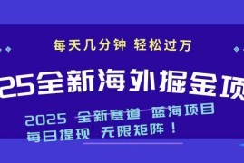 实战（14425期）2025最新海外掘金项目一台电脑轻松日入500+03-06中创网