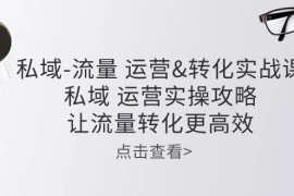 实操引流-涨粉-软件项目，私域-流量 运营&amp;转化实操课：私域 运营实操攻略 让流量转化更高效