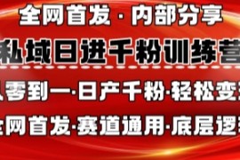 私域日进千粉训练营，全网首发，从0开始带你做好私域，适用于任何赛道，让日产千粉不再是梦