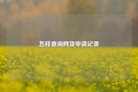 怎样查询网贷申请记录