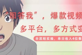 2025最新（14116期）回答我爆款视频,自带流量，AI拉新，分成计划等多方式、多平台变现，单&#8230;03-22中创网