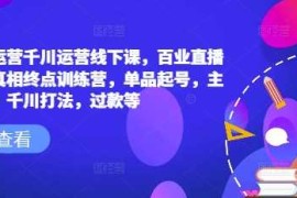 2025最新六边形运营千川运营线下课，百业直播间爆量真相终点训练营，单品起号，主播培训，千川打法，过款等02-19冒泡网