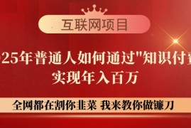 实战（14466期）【网创项目终点站-镰刀训练营超级IP合伙人】25年普通人如何通过“知识&#8230;03-09中创网