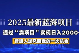 实战2025年蓝海项目，如何通过“网创项目”日入2000+03-20福缘网