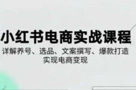 小红书从0-1实操课(2023-2025)，详解养号、选品、文案撰写、爆款打造实现电商变现