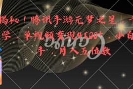 全网揭秘!腾讯手游元梦之星，十分钟顶尖教学，单视频变现4500+，小白轻松上手，月入五位数!