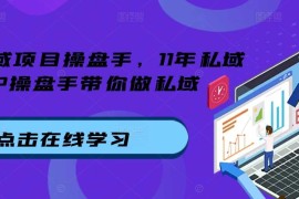 实战私域项目操盘手，11年私域TOP操盘手带你做私域11-05冒泡网