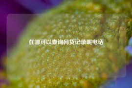 在哪可以查询网贷记录呢电话