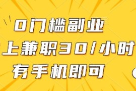0门槛副业，线上兼职30一小时，有一部手机即可操作【揭秘】