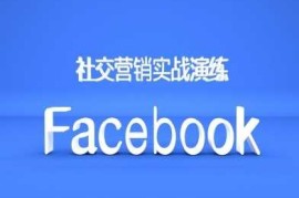 赚钱项目Facebook社交营销实战演练，外贸人绝对不能错过的营销推广平台10-24冒泡网