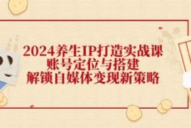 养生IP打造实战课，账号定位与搭建，解锁自媒体变现新策略与抖音号运营