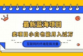 （14289期）2025年最新蓝海项目，卖项目小白也能月入过万