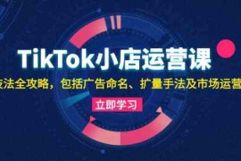 实战TikTok小店运营课：投流技法全攻略，包括广告命名扩量手法及市场运营方法10-22福缘网