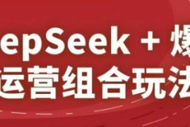 DeepSeek+爆品运营组合玩法，2025淘系精品课