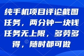 赚钱项目（14591期）纯手机项目评论截图任务，两分钟一块钱任务无上限多劳多得，随时随地…03-20中创网