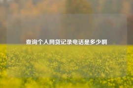 查询个人网贷记录电话是多少啊