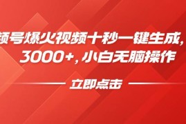 简单项目（14415期）视频号爆火视频十秒一键生成，日入3000+，小白无脑操作03-04中创网
