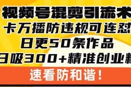 2024最新（13400期）视频号混剪引流技术，500万播放引流17000创业粉，操作简单当天学会11-21中创网