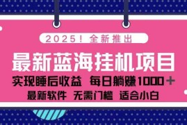 （14216期）2025最新挂机躺赚项目 一台电脑轻松日入500