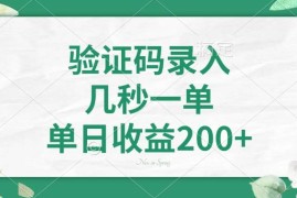 热门项目（14221期）验证码录入，几秒一单，单日收益200+02-18中创网