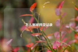 怎么删掉网贷记录
