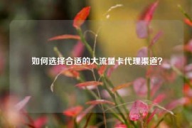  如何选择合适的大流量卡代理渠道？
