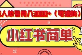 每天小红书商单分成计划，有人单号月入3k+，每天5分钟，可矩阵放大，长期稳定的蓝海项目【揭秘】02-26冒泡网