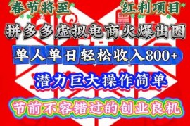 热门项目春节将至，拼多多虚拟电商火爆出圈，潜力巨大操作简单，单人单日轻松收入多张【揭秘】12-23冒泡网