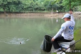 年收入20万，钓鱼能致富？网红钓手的赚钱逻辑，靠的不止是几条鱼