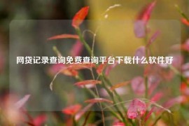 网贷记录查询免费查询平台下载什么软件好