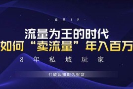 每天（13433期）未来如何通过“卖流量”年入百万，跨越一切周期绝对蓝海项目11-23中创网