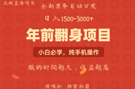 2024最新日入1000+娱乐项目全国市场均有很大利润长久稳定新手当日变现12-25福缘网