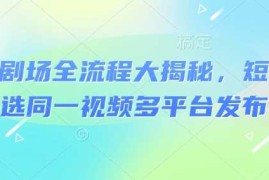 热门项目河马剧场全流程大揭秘，短剧爆款精选同一视频多平台发布实操03-01冒泡网