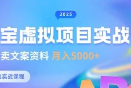 赚钱项目淘宝虚拟项目垂直玩法，新手卖文案资料，月入5k+03-16冒泡网
