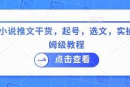 创业项目最新小说推文干货，起号，选文，实操等保姆级教程03-05冒泡网