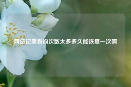 网贷记录查询次数太多多久能恢复一次啊