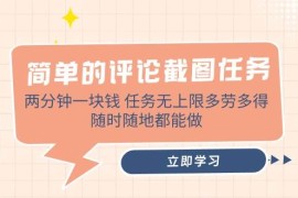 手机项目（14485期）简单的评论截图任务，两分钟一块钱任务无上限多劳多得，随时随地都能做03-11中创网