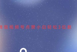 创业项目（13613期）视频号点赞最新玩法，小白轻松日入三位数12-09中创网