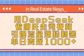 赚钱项目用DeepSeek做哪吒走秀视频，引爆流量涨粉利器，单日变现1k02-12冒泡网