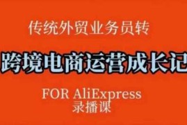 热门项目跨境电商速卖通运营课，​运营方法论+后台实操，逻辑清晰02-13冒泡网